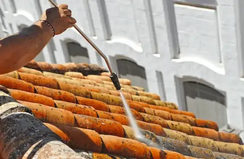 Nettoyage de toitures - Vieu-d'Izenave